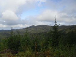 108 Rajd Ziemi Ząbkowickiej 44 Rajd Integracyjny dla Osób Niepełnosprawnych „Góry Bardzkie”