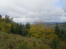 108 Rajd Ziemi Ząbkowickiej 44 Rajd Integracyjny dla Osób Niepełnosprawnych „Góry Bardzkie”