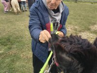 Alpakowa Kotlina 2025