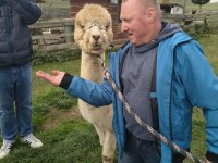 Alpakowa Kotlina 2025