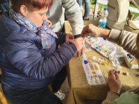 Alpakowa Kotlina 2025