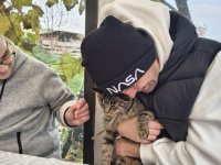 Alpakowa Kotlina 2025