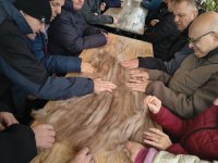 Alpakowa Kotlina 2025