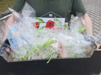 Festyn charytatywny dla Leosia 