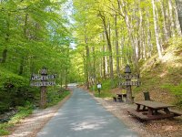 Jaskinia Niedźwiedzia w Kletnie 