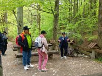 Jaskinia Niedźwiedzia w Kletnie 