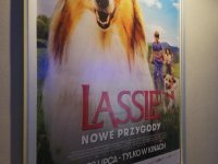 Wyjścia do kina 2023