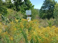 Wycieczka na Kukułkę 2023