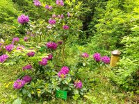 Wycieczka do Lądka Zdrój 2025