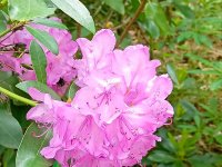 Wycieczka do Lądka Zdrój 2025