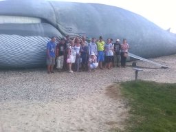 Turnus rehabilitacyjny Mrzeżyno 2015