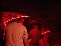 Muzeum Frankensteina 2024