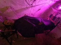 Muzeum Frankensteina 2024