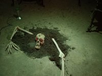 Muzeum Frankensteina 2024