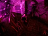 Muzeum Frankensteina 2024