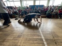 Olimpiada Szkół w Szalejewie Dolnym 2025