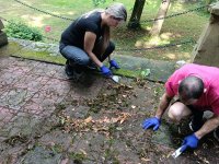 Piknik Samorządowy 2023