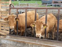 Serowarnia w Lutomierzu 