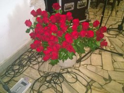 Dzień Kobiet w Podzamku