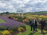 Warsztaty lawendowe 2025