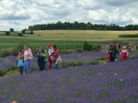 Warsztaty lawendowe 2025