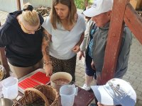 Warsztaty zielarskie 