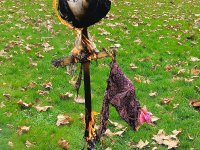 Pierwszy Dzień Wiosny 2024